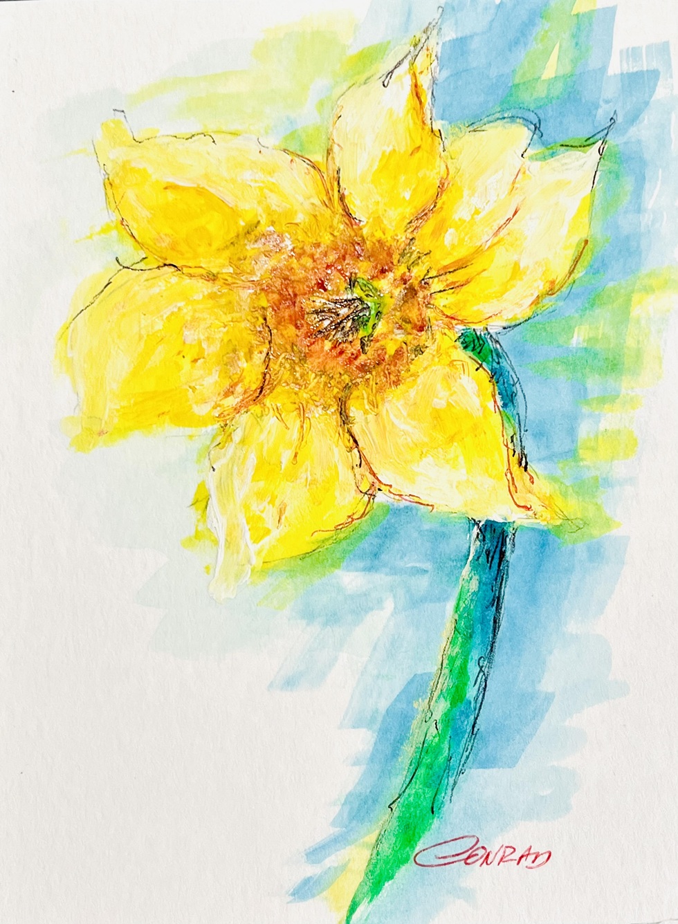 Daffodi